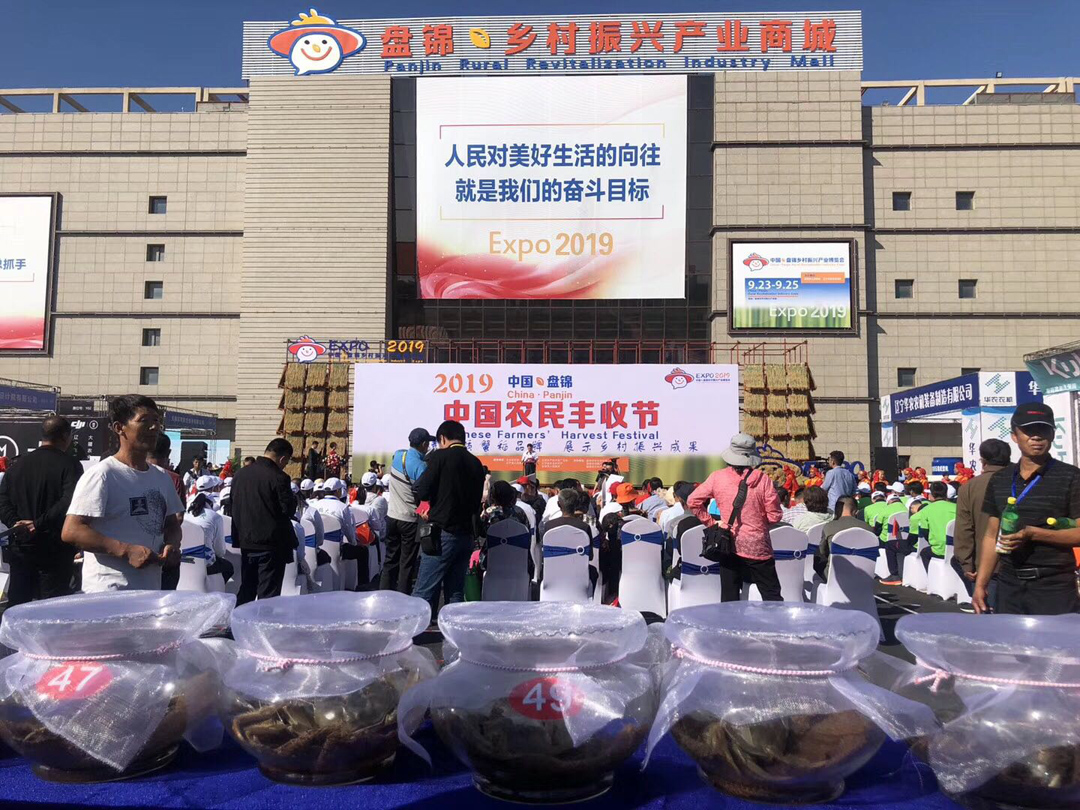 农民丰收节 1.jpg
