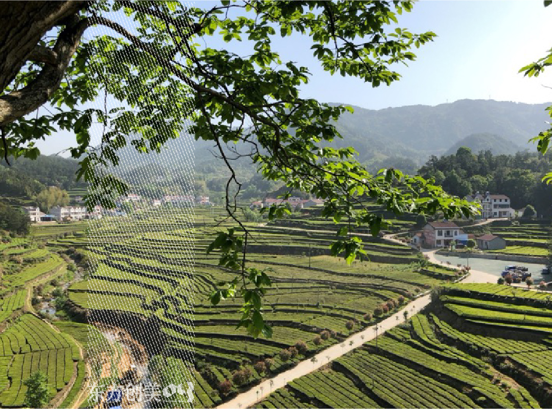 加水印4的副本_画板 1.jpg