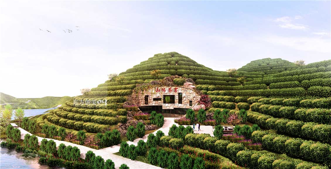 全国首个山体茶窖_副本.jpg